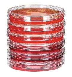 Cole-Parmer Sterile Petri Dishes, 100 mm dia x 15 mm H, 500/box