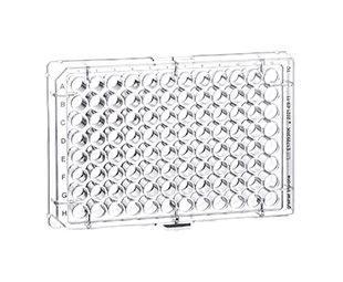 CellStar, polystyrene cell culture 96 well plates, f-bottom,