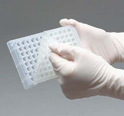 Lids Sterile 50/cs