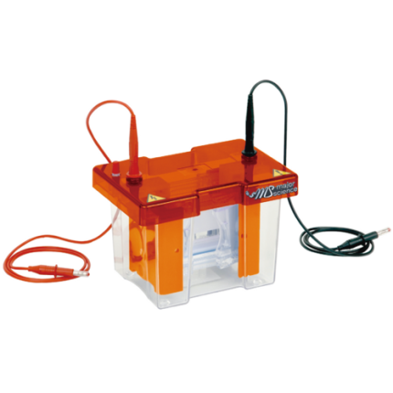 Complete Mini Vertical Gel Electrophoresis Apparatus, gel dimension: W85xL80mm