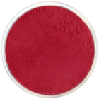 MACCONKEY AGAR Nº 2 500 grams/bottle