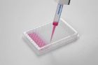 Microplate 96/F-PP, clear wells, border color white, PCR clean