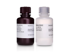 ECL Prime Western Blotting Detection Reagent