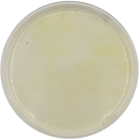 KING A MEDIUM (PSEUDOMONAS P AGAR) (USP) 500 grams/bottle