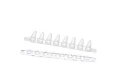 Masterclear Cap Strips and real-time PCR Tube Strips,8-strips, PCR clean, colorless, 120 strips (10 bags x 12 strips)