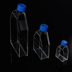 Cell Culture Flask with Filtered Cap, 25cm2, PS, TC treated, Sterile, 5 Pcs/Pack, 40 Packs/Case