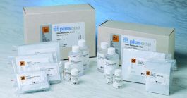 Silverscript Kit SILVER STAINING KIT, PROTEIN