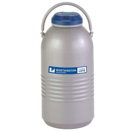 Dewar Flask 10L